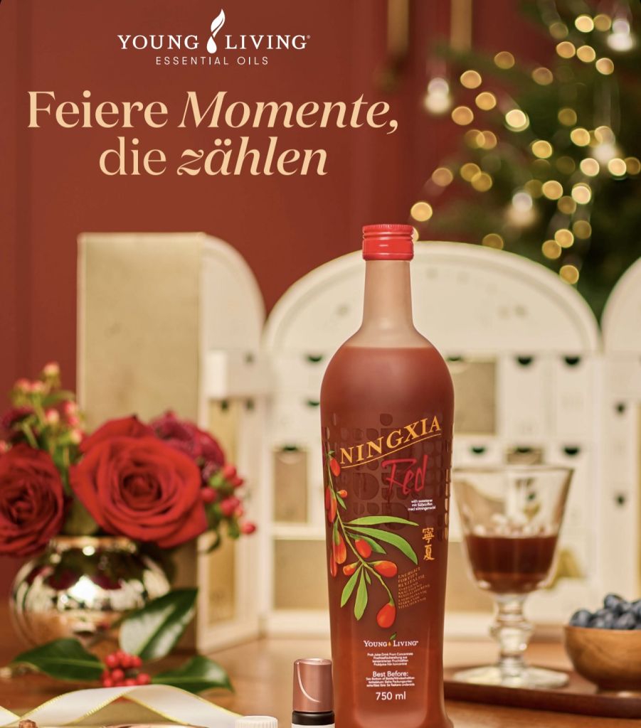 Geschenkekatalog Nov 2025